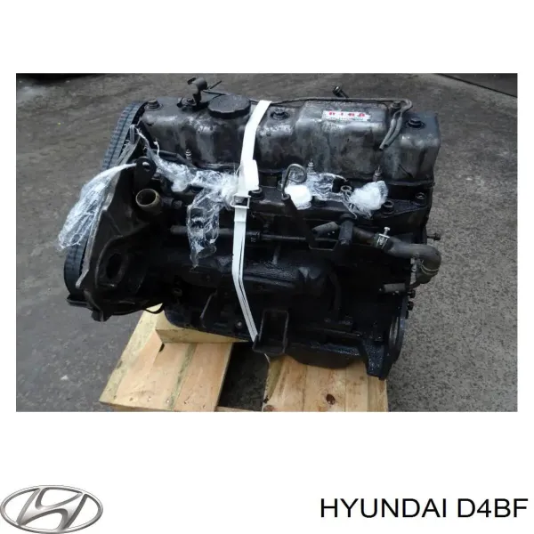 Motor montado D4BF Hyundai/Kia
