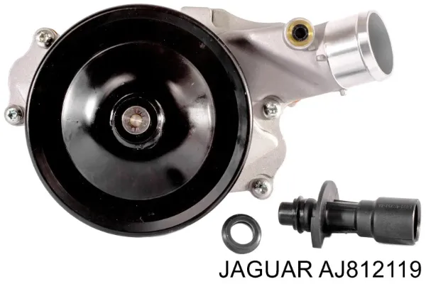 Bomba de água (bomba) de esfriamento C2Z29189 Jaguar