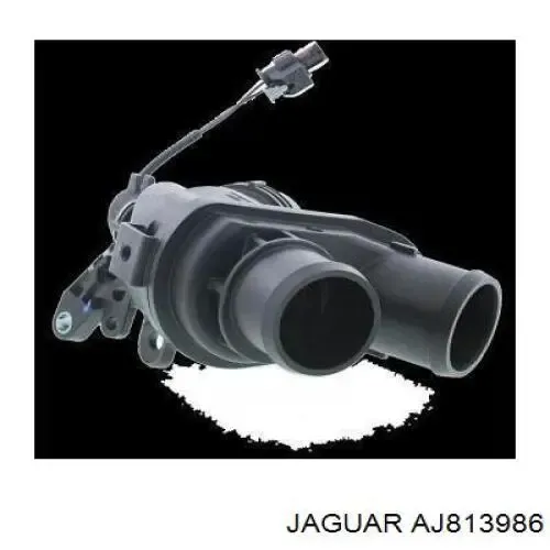 Caixa do termostato AJ813902 Jaguar