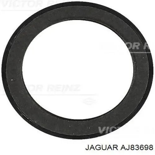 Vedação dianteira de cambota de motor AJ83698 Jaguar
