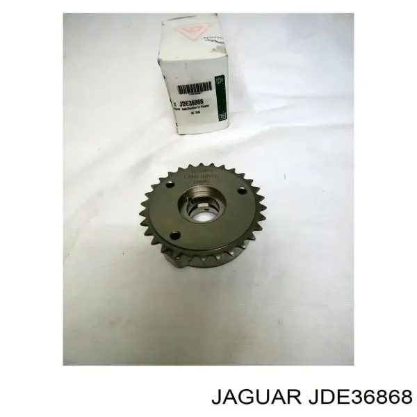 Engrenagem de cadeia de roda dentada da árvore distribuidora de escape de motor JDE36868 Jaguar