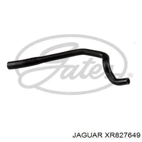 Mangueira (cano derivado) do radiador de esfriamento superior XR827649 Jaguar