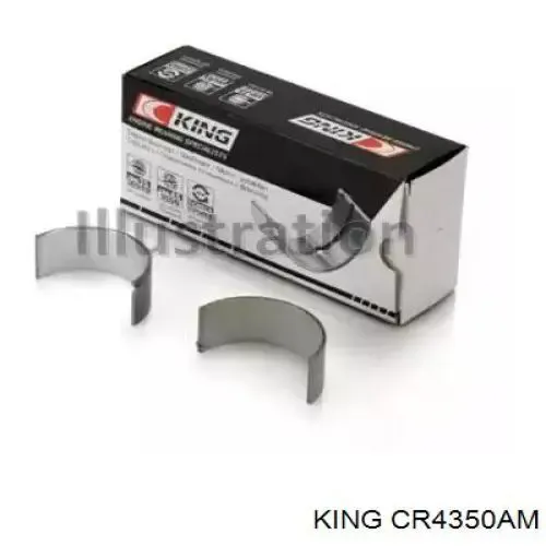 Folhas inseridas de cambota de biela, kit, padrão (STD) para Renault 19 I B53, C53