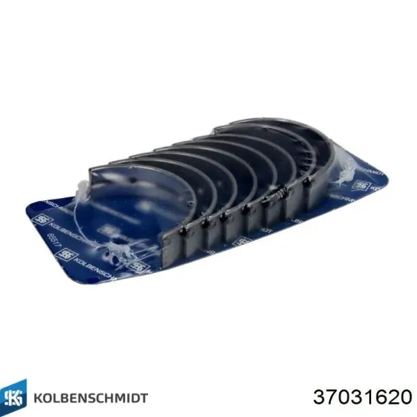 Folhas inseridas principais de cambota, kit, 2ª reparação ( + 0,50) 37031620 Kolbenschmidt
