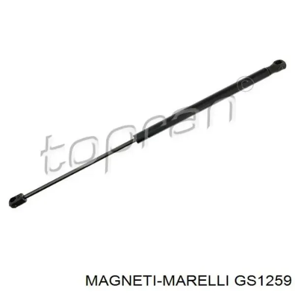 Amortecedor de tampa de porta-malas (de 3ª/5ª porta traseira) GS1259 Magneti Marelli