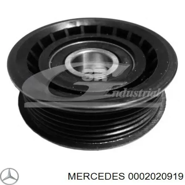 0002020919 Mercedes Rolo parasita da correia de transmissão