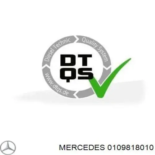 Rolamento da Caixa de Mudança 0109818010 Mercedes