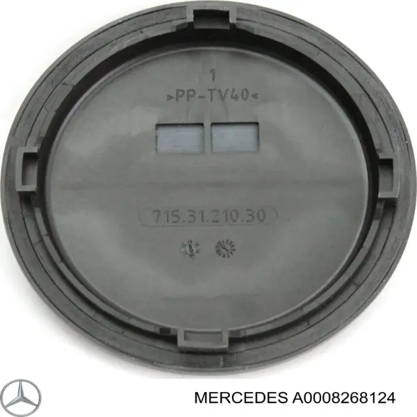 Tampa das luzes traseiras 1305219121 VAG