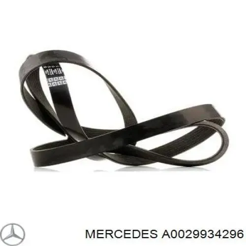 A0029934296 Mercedes correia dos conjuntos de transmissão
