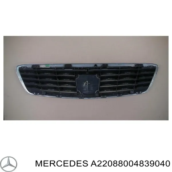 Grelha do radiador A2208800483 Mercedes