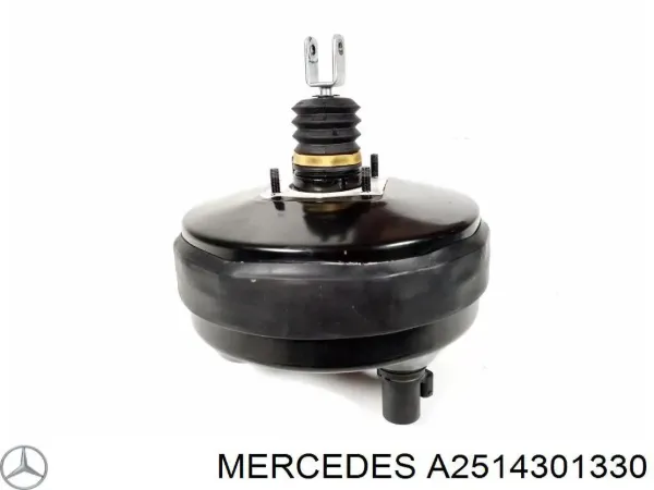  A2514301330 Mercedes