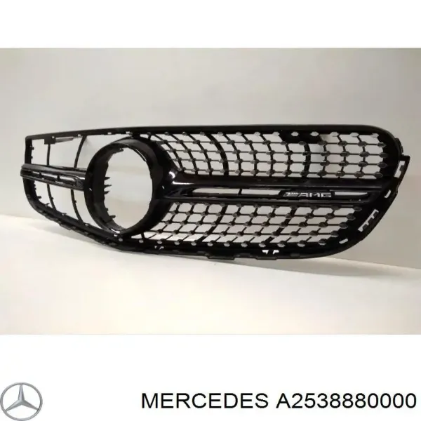 Grelha do radiador A2538880000 Mercedes