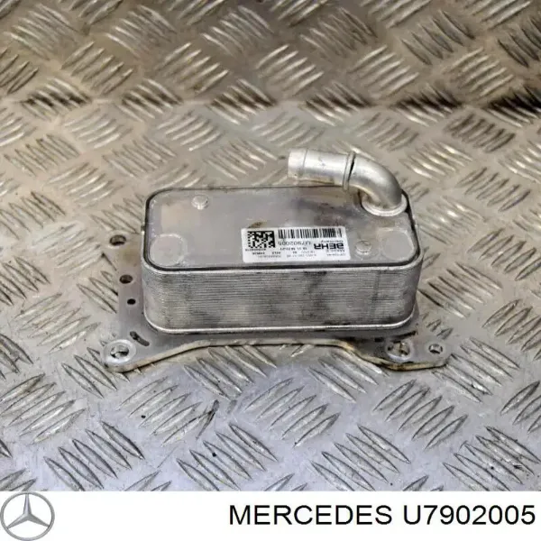  U7902005 Mercedes