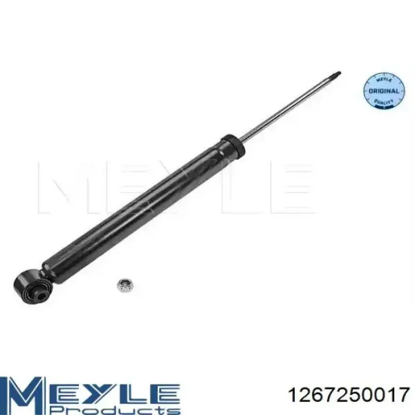 Amortecedor traseiro RS318202 Raiso