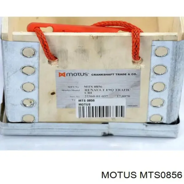 Cambota de motor MTS0856 Motus