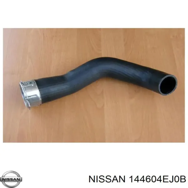 Mangueira (cano derivado) de intercooler GPPNS048 NTY