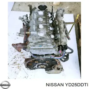 Motor montado YD25DDTI NISSAN)