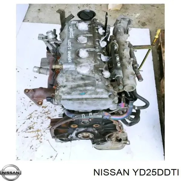 Motor montado YD25DDTI Nissan/Infiniti