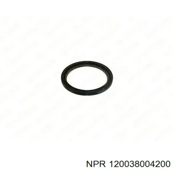 Anéis do pistão para 1 cilindro, STD. 120038004200 NE/NPR