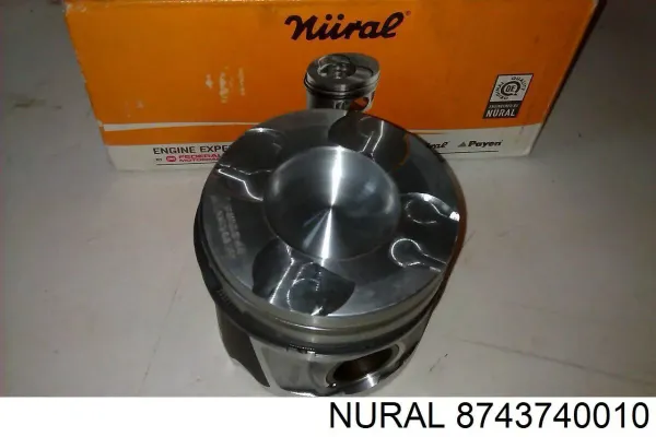Pistão do kit para 1 cilindro, STD 55580179 General Motors