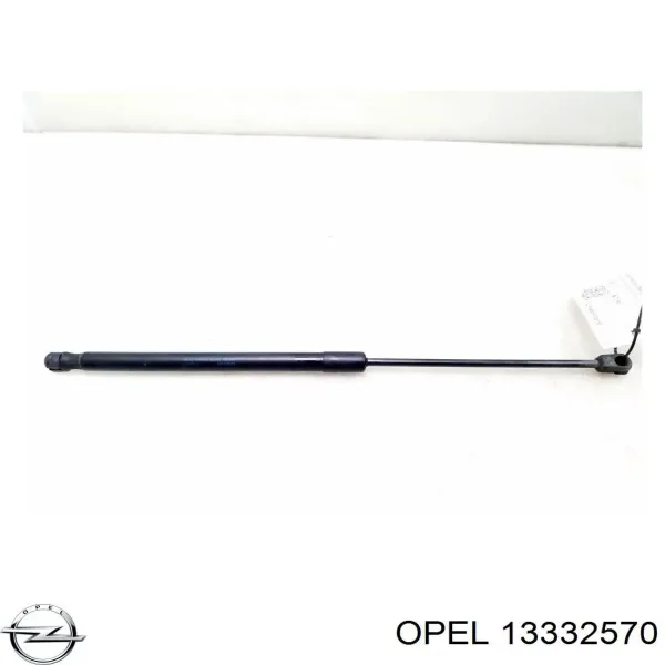 Amortecedor de tampa de porta-malas (de 3ª/5ª porta traseira) 13332570 Opel
