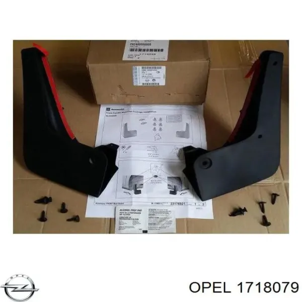Protetores de lama dianteiros, kit 1718079 General Motors