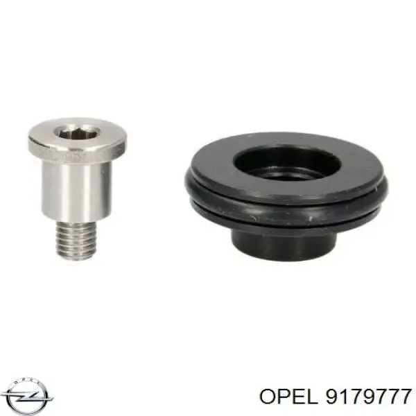Rolo esquerdo central da porta lateral (deslizante) 9179777 Opel
