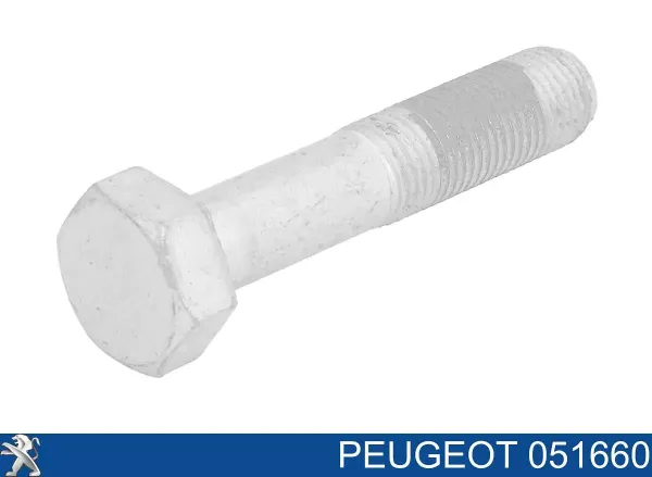 Parafuso da polia de cambota 051660 Peugeot/Citroen