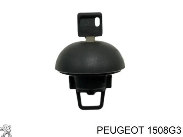 Compre 1508G3 Peugeot/Citroen Tampa (tampão) do tanque de combustível