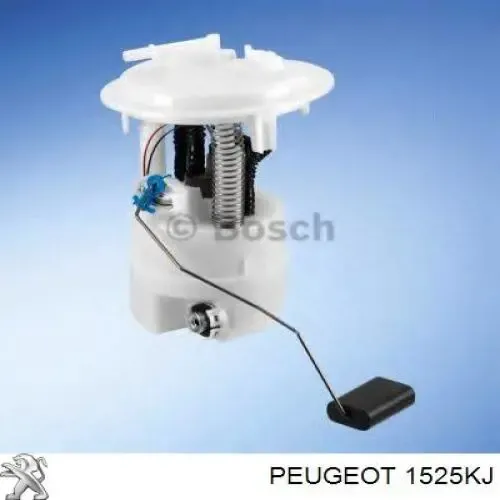 Módulo de bomba de combustível com sensor do nível de combustível Peugeot/Citroen 1525KJ preço, a partir de