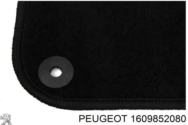  1609852080 Peugeot/Citroen