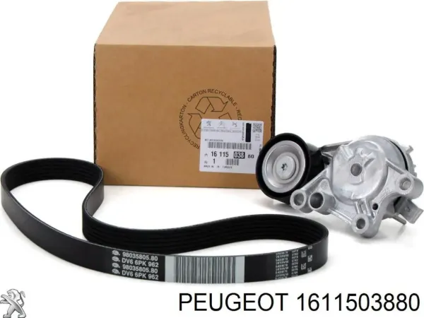 Correia dos conjuntos de transmissão, kit 1611503880 Peugeot/Citroen