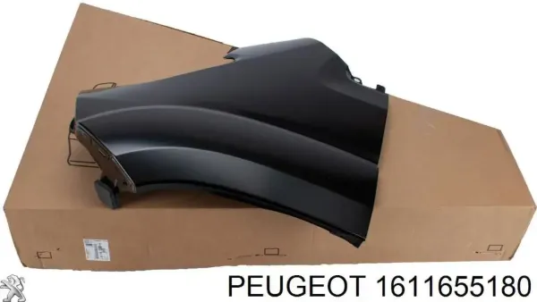 Pára-lama dianteiro esquerdo 1611655180 Peugeot/Citroen
