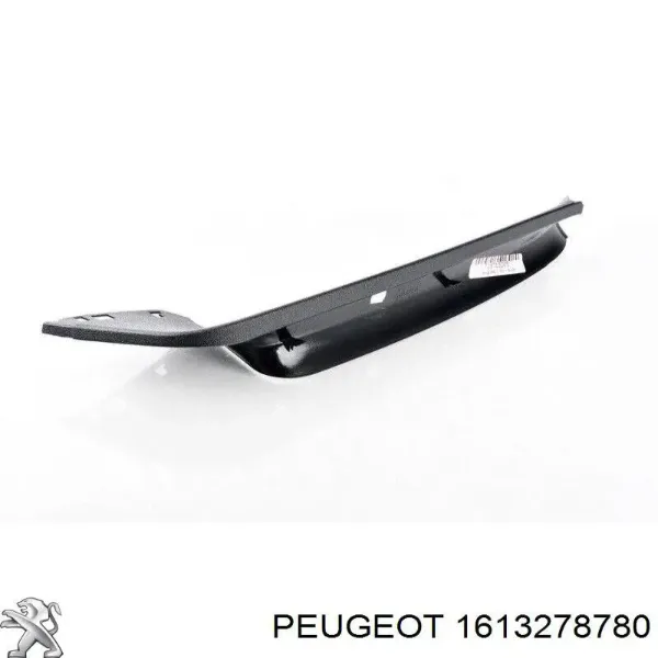  1613278780 Peugeot/Citroen