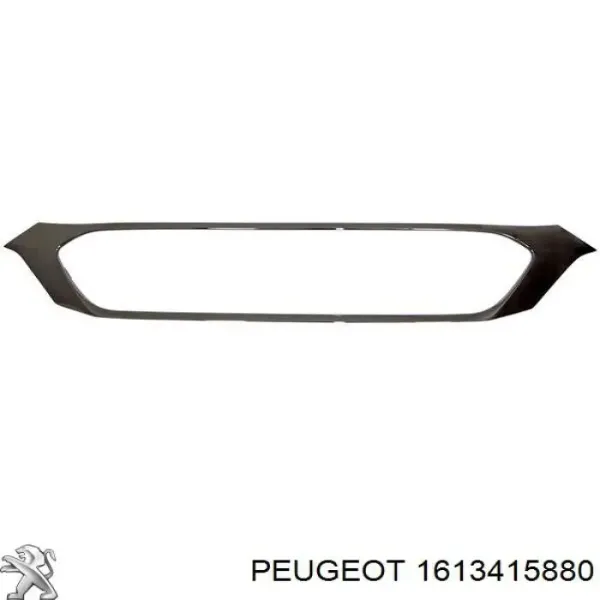  1613415880 Peugeot/Citroen