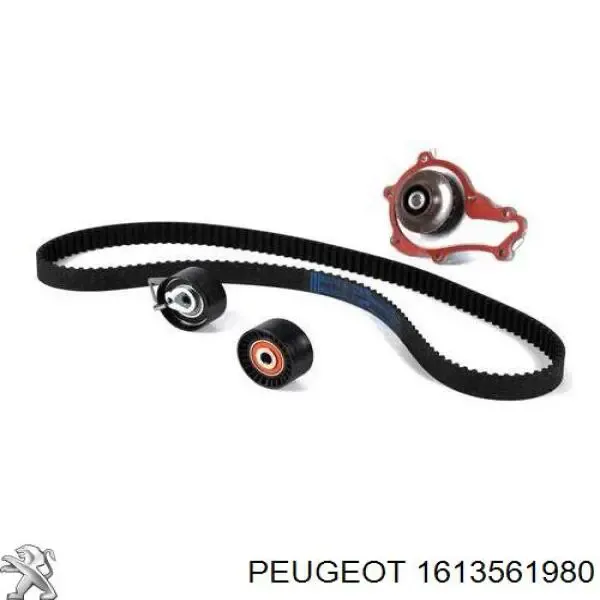 Correia do mecanismo de distribuição de gás, kit 1613561980 Peugeot/Citroen