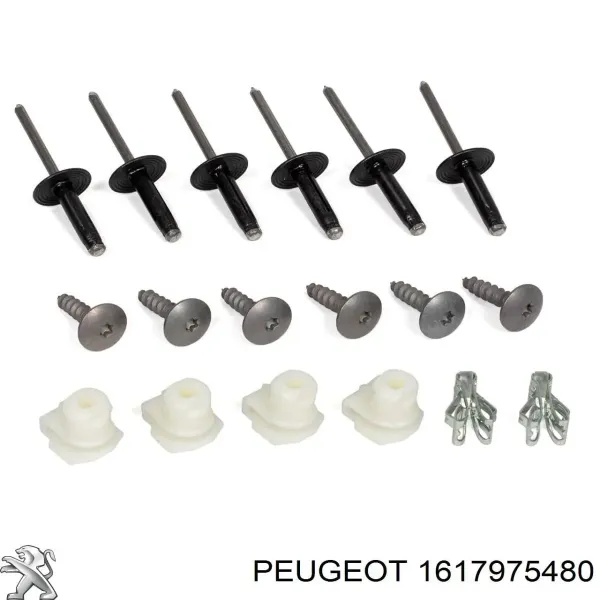  1617975480 Peugeot/Citroen