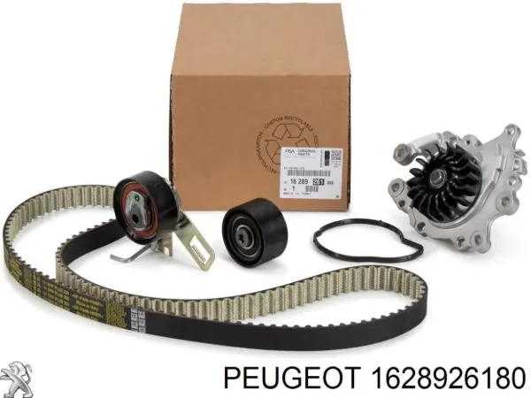 Correia do mecanismo de distribuição de gás, kit 1628926180 Peugeot/Citroen