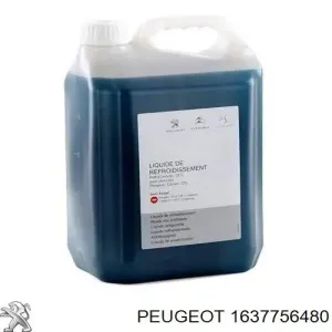Fluido de esfriamento 1637756480 PEUGEOT