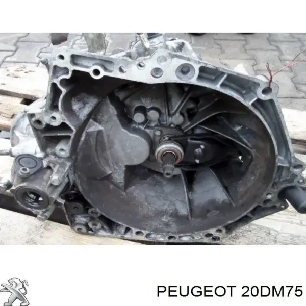 Compre Caixa de Mudança montada (caixa mecânica de velocidades) Peugeot 307 SW 3H