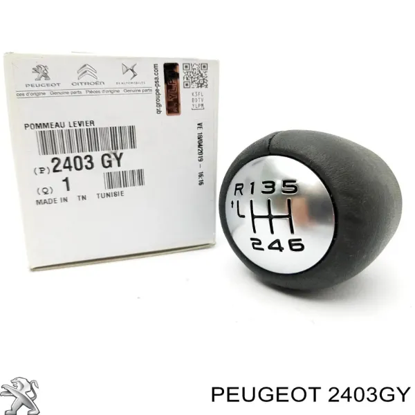 Cabo da avalanca da Caixa de Mudança 2403GY Peugeot/Citroen