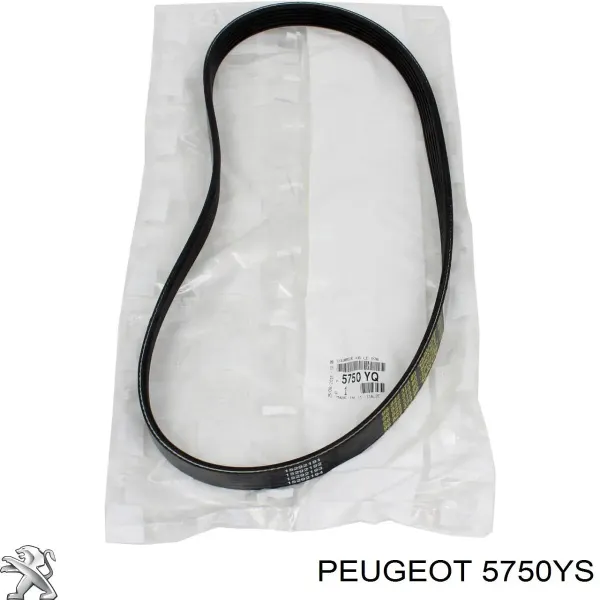 Correia dos conjuntos de transmissão 5750YS Peugeot/Citroen