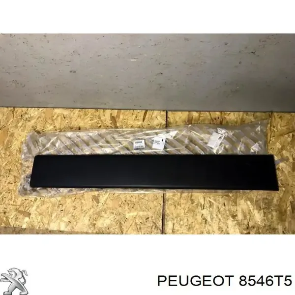 Moldura da porta lateral (deslizante) 735422719 Fiat/Alfa/Lancia