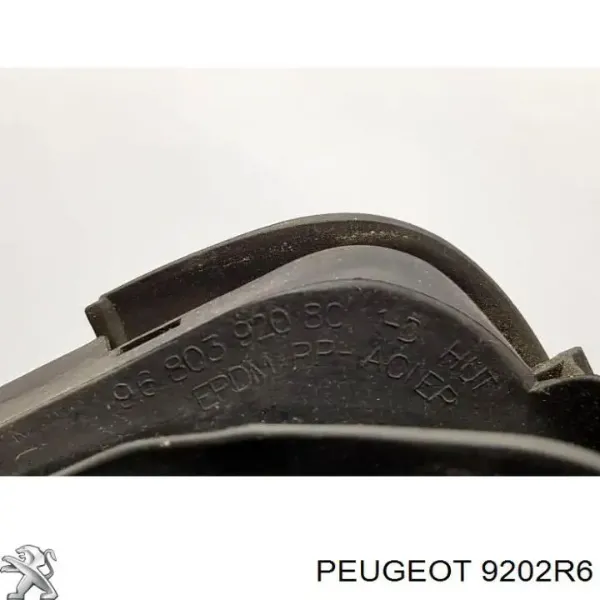  Vidro de janelo da porta dianteira direita Peugeot Partner 2