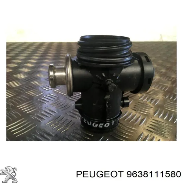 Válvula EGR de recirculação dos gases 9638111580 Peugeot/Citroen