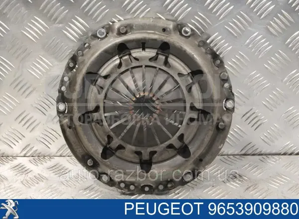 Cesta de embraiagem Citroen Jumpy II