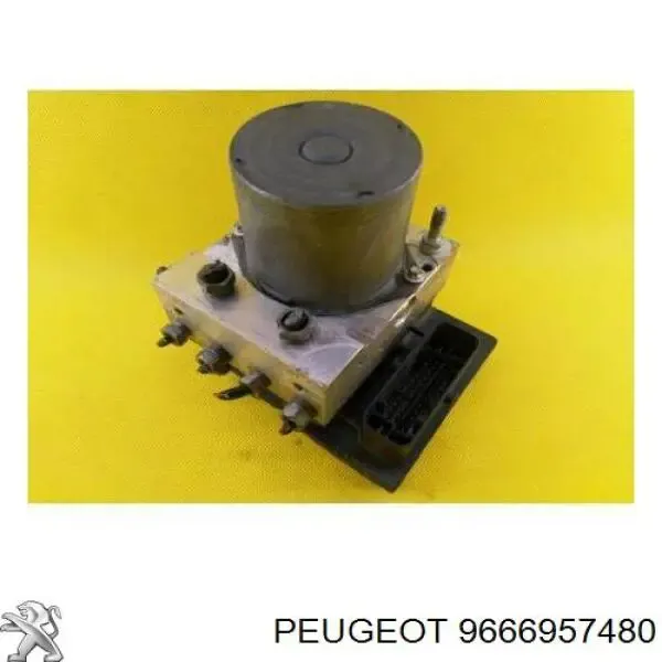  9666957480 Peugeot/Citroen