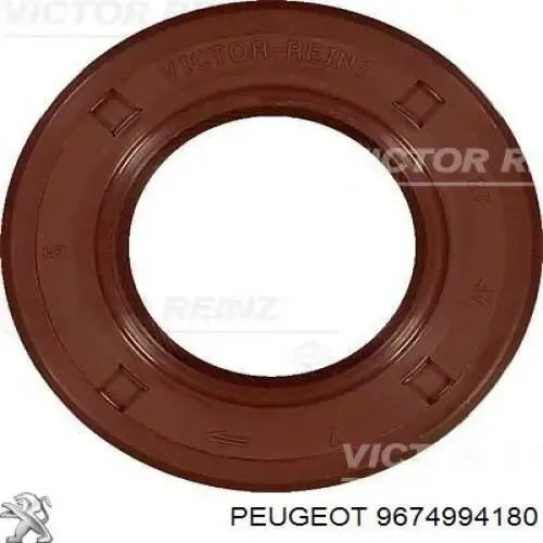 Vedante da bomba de combustível da Bomba de Combustível de Pressão Alta 9674994180 Peugeot/Citroen