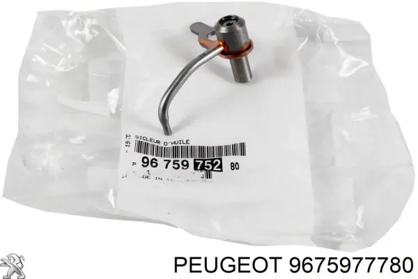  9675977780 Peugeot/Citroen