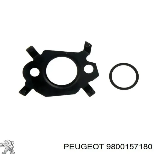 Vedante de bomba de vácuo 9800157180 Peugeot/Citroen